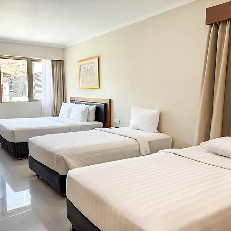 Svarna Hotel
